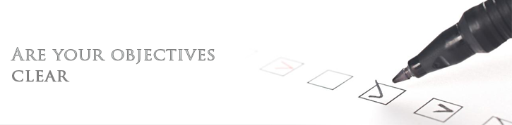 Ecommerce website objective