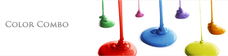 Selecting A Web Designer or web Developer