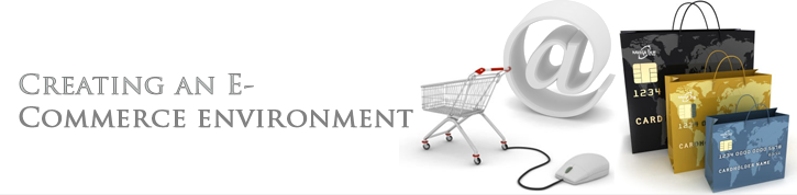 Creating an E- Commerce environment