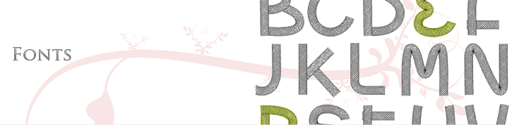 Selecting A Web Designer or web Developer